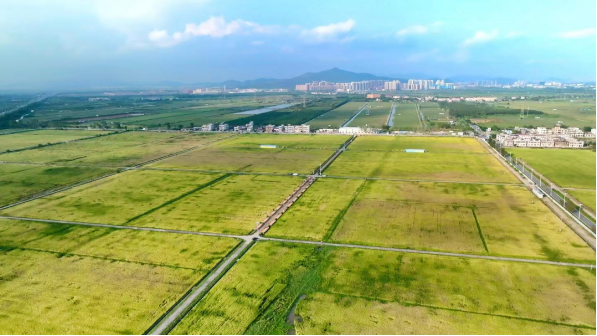 全域土地综合整治，广东全域土地综合整治，珠海全域土地综合整治，耕地?；ぃ愣乇；ぃ楹８乇；? width=