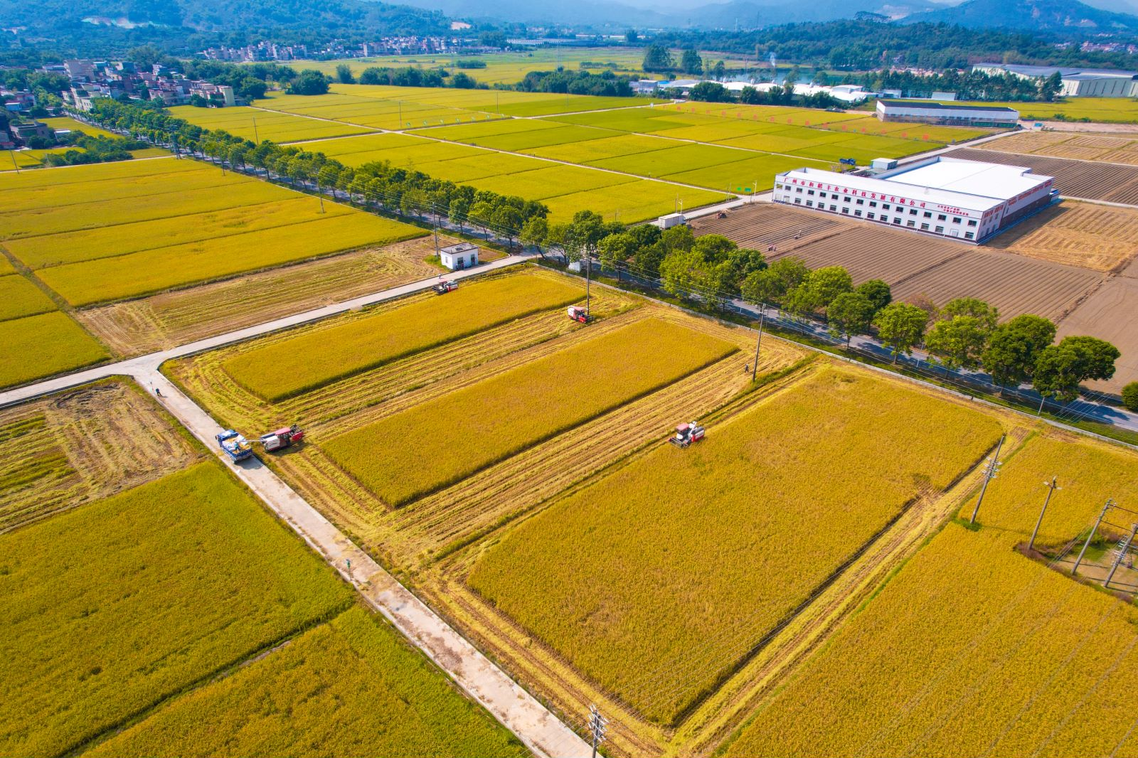 全域土地综合整治，广东全域土地综合整治，广东百千万工程3