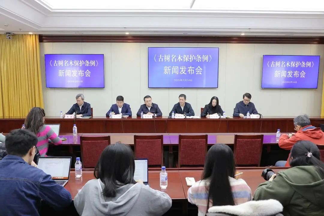 全域土地综合整治，古树名木，古树名木?；?，广东全域土地综合整治，广东古树名木?；? width=