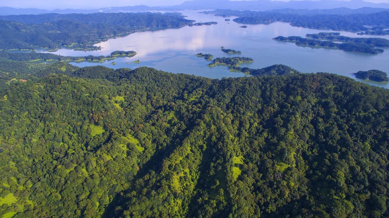 全域土地综合整治，河源全域土地综合整治2